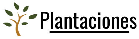 plantacionesd